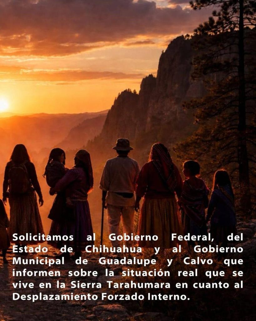 Las organizaciones civiles que acompañamos a pueblos y comunidades indígenas en defensa de su territorio en la Sierra Tarahumara, así como a víctimas de desplazamiento forzado interno (DFI), señalamos:
Desde el “combate al narcotráfico” decretado por el ex presidente Calderón, la violencia no ha cesado, por el contrario ha ido en aumento en la Sierra Tarahumara, afectando directa e indirectamente a miles de chihuahuenses, poniendo en riesgo a las y los habitantes de la región, no solo por ataques directos y amenazas, sino también por el control que los grupos criminales ostentan en los territorios, impidiendo que las comunidades puedan desarrollar sus vidas con normalidad y con acceso a derechos básicos como la educación, la salud y la alimentación.